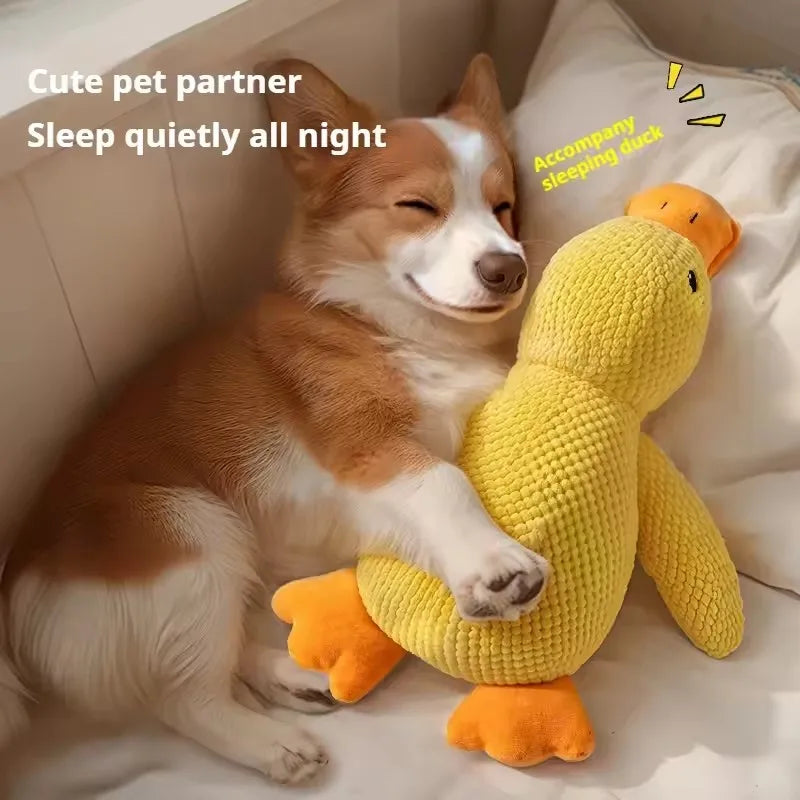 Booteely Plush Duck Dog Toy